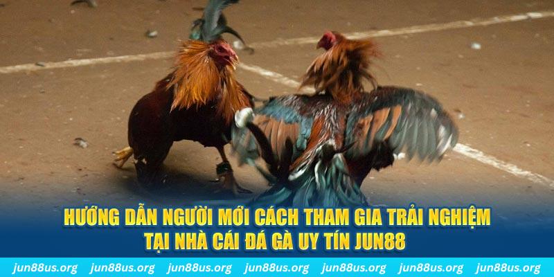 ku11 CQ9 Điện Tử