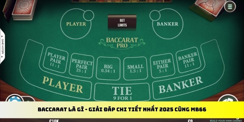 ku11 gà chọi cu cần