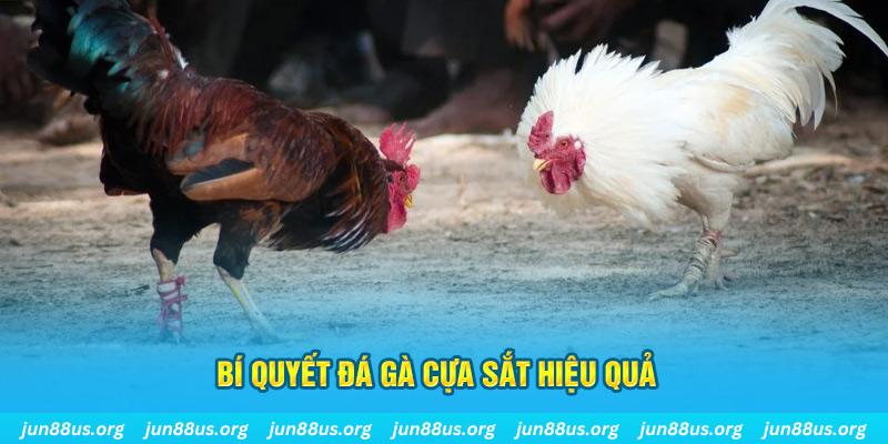 ku11 xin 1 slot là gì