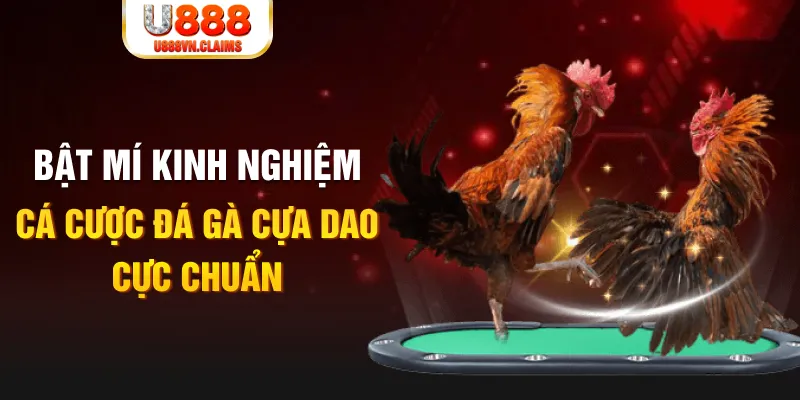 ku11 tỷ lệ cá cược châu á là gì