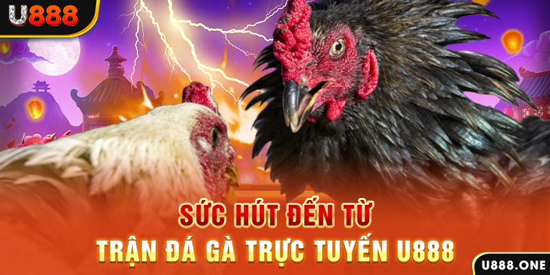 ku11 nổ hũ b29 là gì