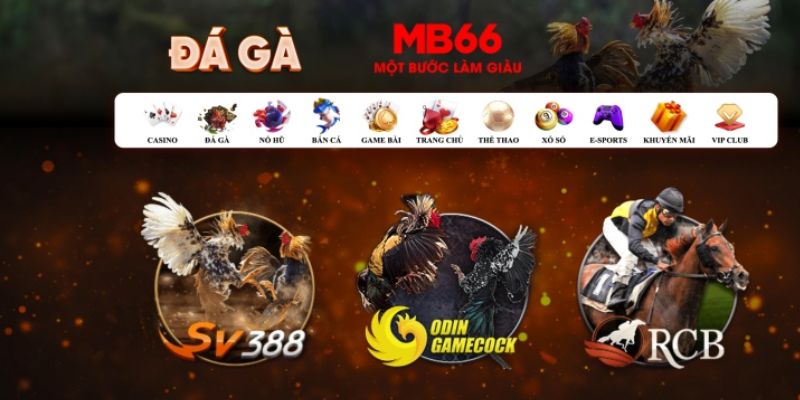 ku11 đăng nhập poker số 1