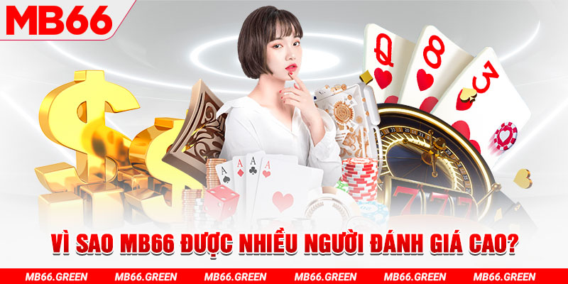 ku11 đá gà