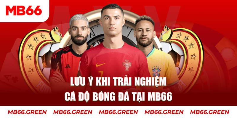 ku11 cá cược là gì