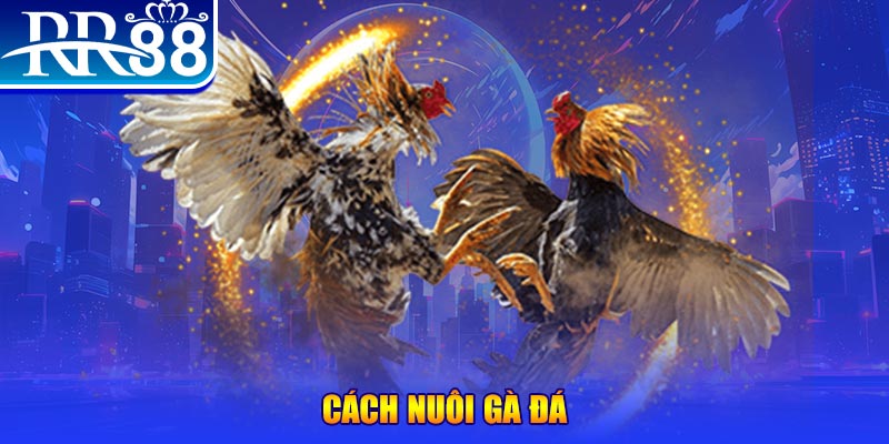 ku11 xổ số an giang