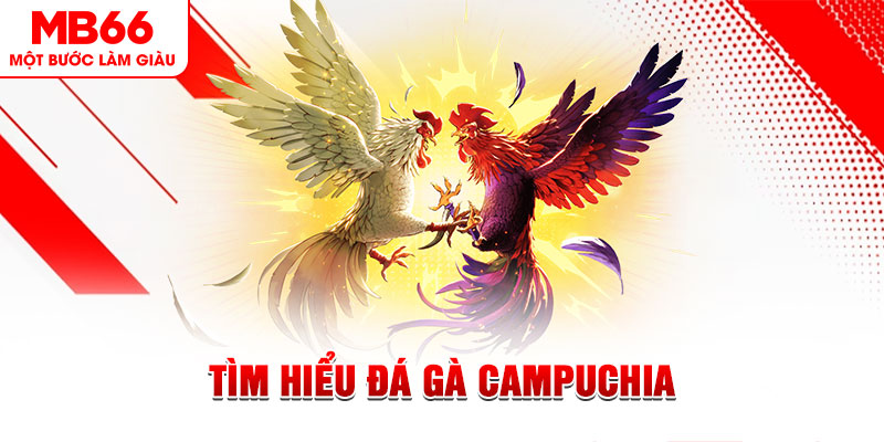 ku11 game đánh bài trên máy tính