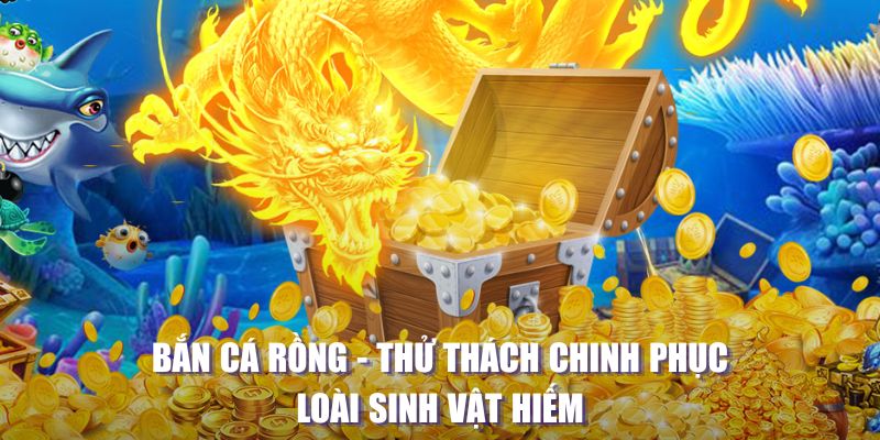 ku11 máy slot game là loại trò chơi gì？