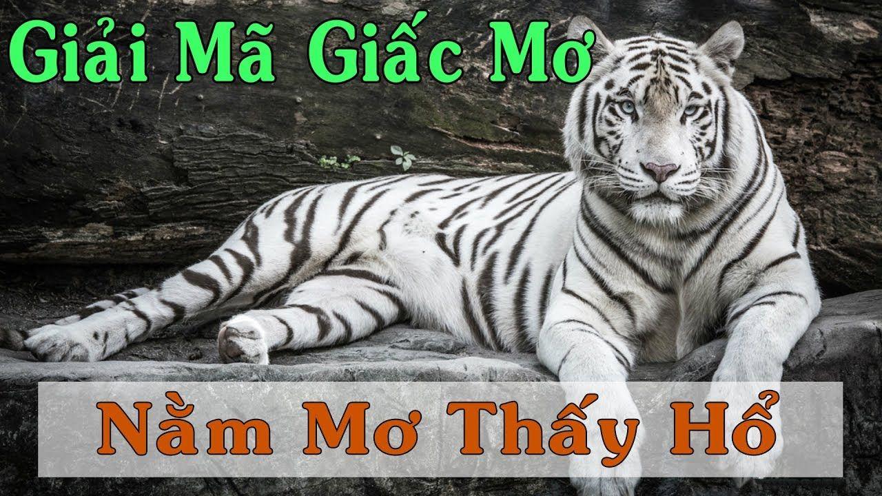 ku11 xổ số 3 miền