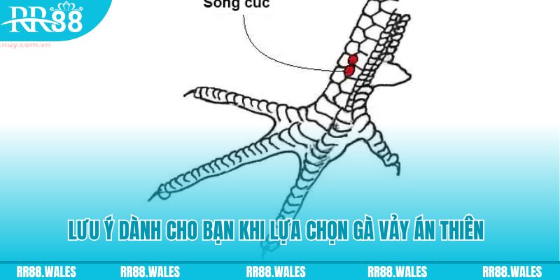 ku11 xổ số đồng nai