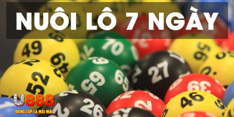 ku11 slot là j