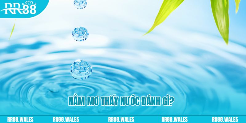 ku11 TP Bắn cá