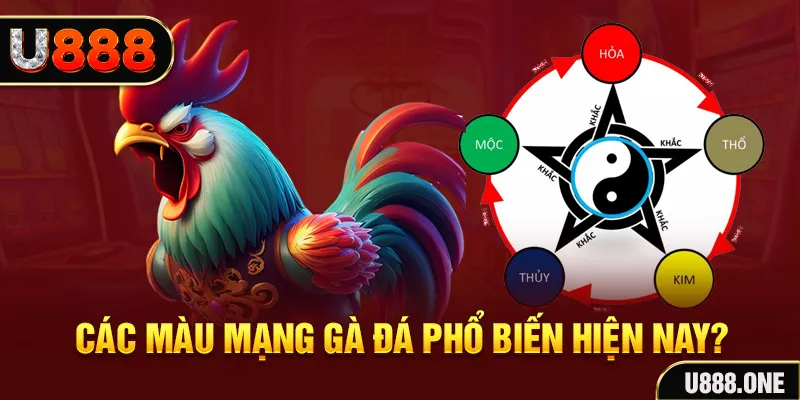 ku11 trực tiếp đá gà 88