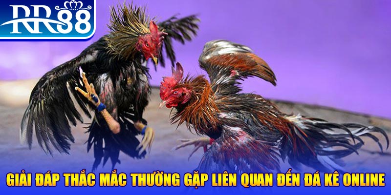 ku11 xổ số đà lạt