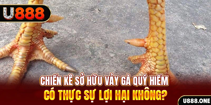ku11 nohu .mx nổ hủ là gì