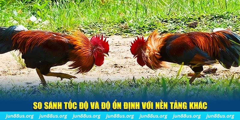ku11 đá gà hôm nay