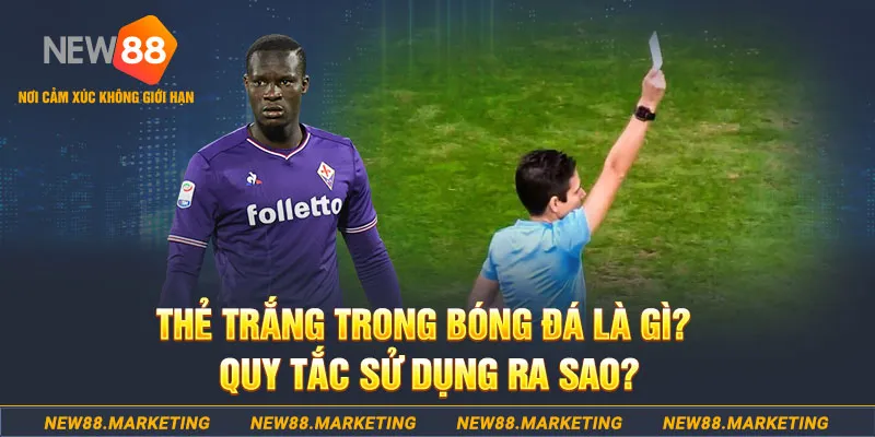 ku11 gà chọi mộc hóa