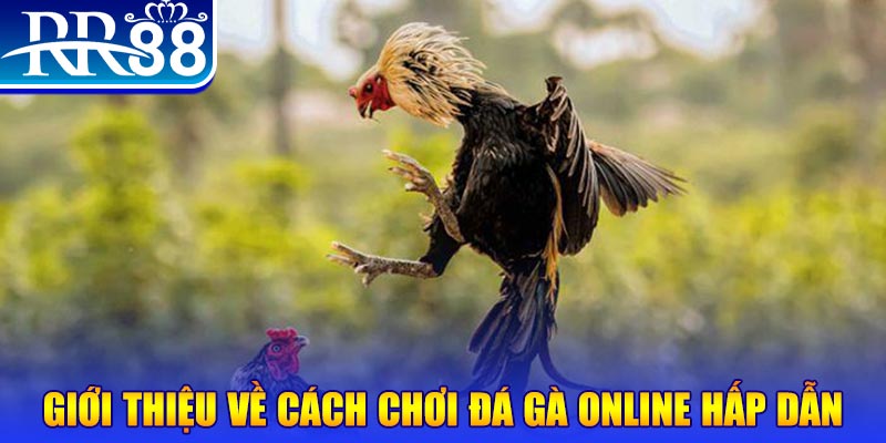 ku11 game nổ hũ rút tiền mặt là gì