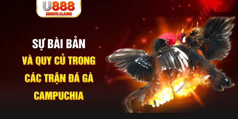 ku11 YGR Điện Tử
