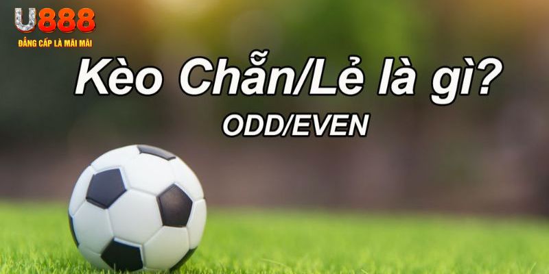 ku11 đăng nhập poker hôm nay