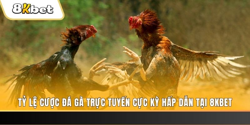 ku11 xổ số trực tiếp miền bắc