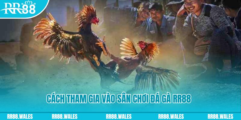 ku11 chơi nổ hũ kiêng kỵ gì
