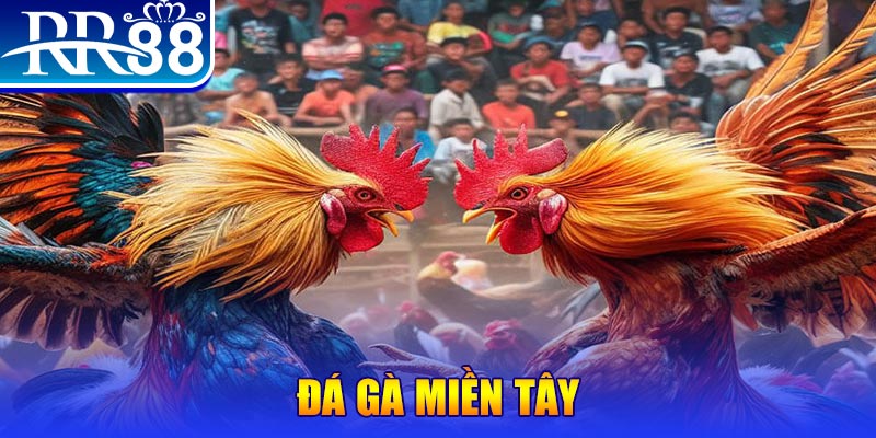 ku11 đăng nhập nổ hũ