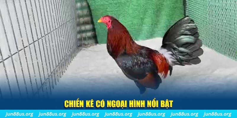 ku11 chạy quảng cáo cho game bài bị phạt như thế nào