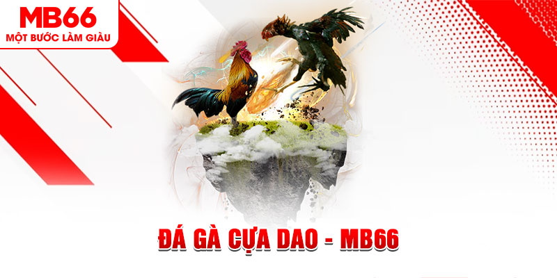 ku11 đá gà sv388 gold