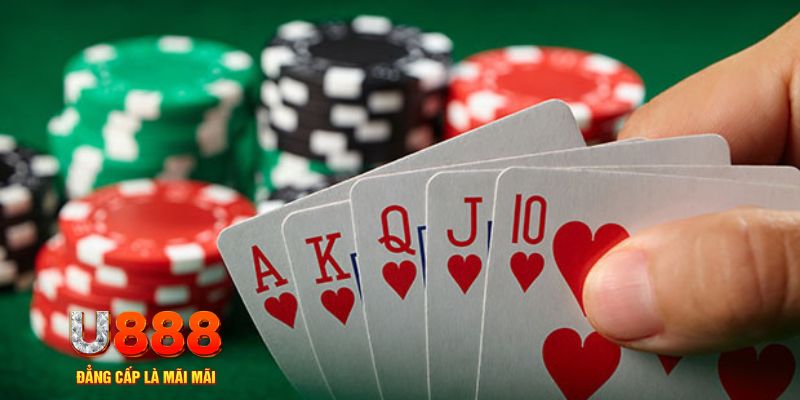 ku11 đá gà trực tiếp thomo 67