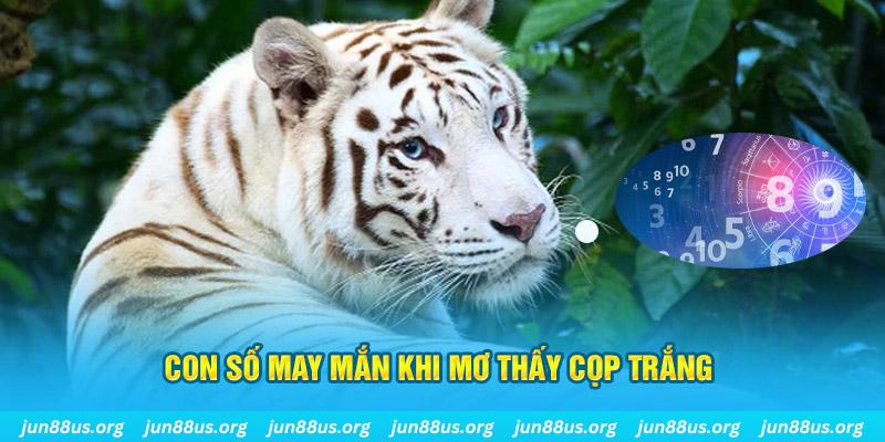 ku11 đá gà trực tiếp 88
